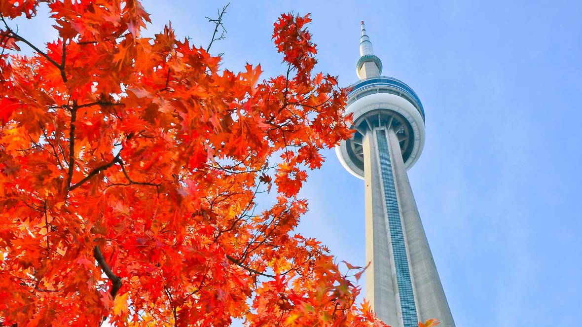 fall in Toronto