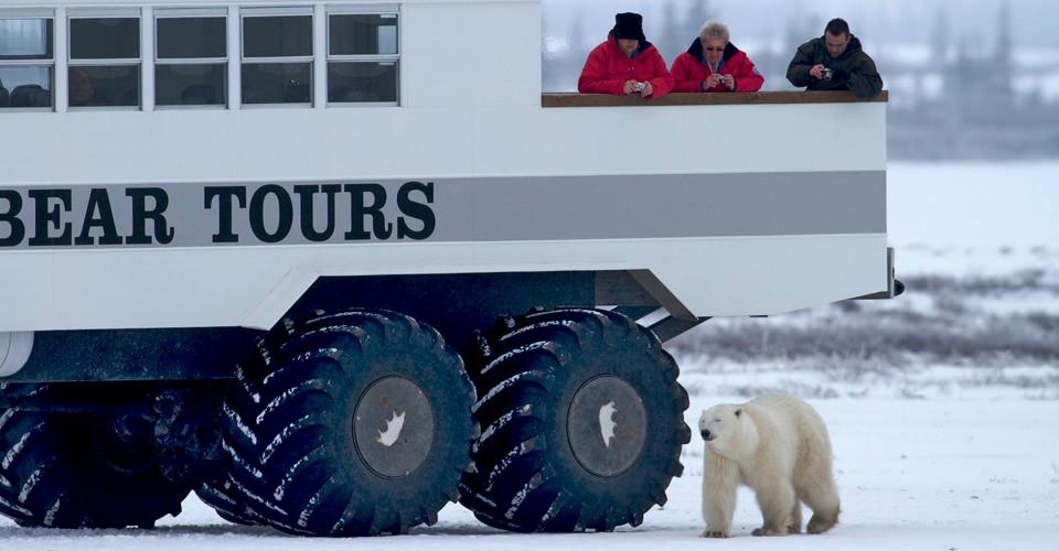 لوژ توندرا قطب شمال کانادا (Tundra Lodge)