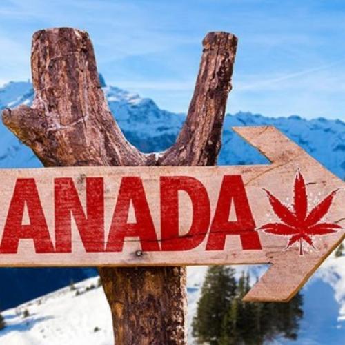 توصیه های سفر: پیشنهاد گردش در کانادا با هزینه کم