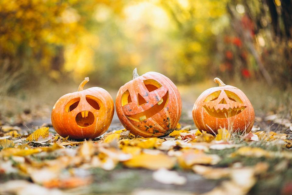 جاذبه های آلبرتا در ایام هالووین و پاییز