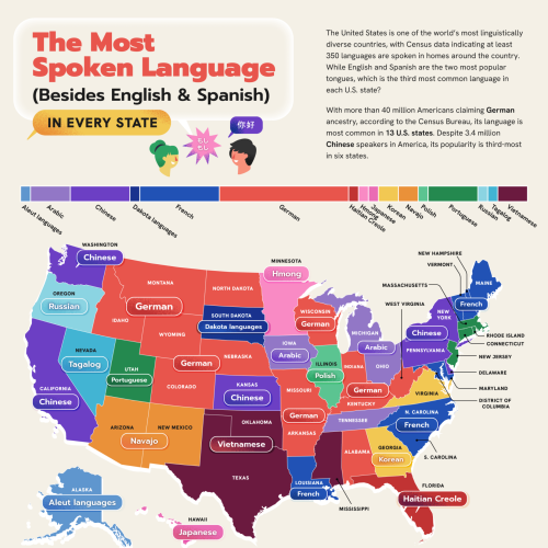 پرمخاطب ترین زبان در هر ایالت آمریکا (به جز انگلیسی و اسپانیایی)