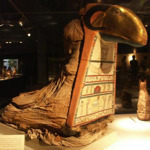 موزه مومیایی در اقصر، مصر: سفری به دنیای اسرارآمیز زندگی پس از مرگ