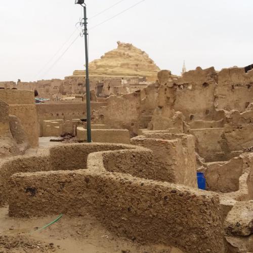 قلعه شالی، دژ تاریخی و قلب تپنده واحه سیوه مصر